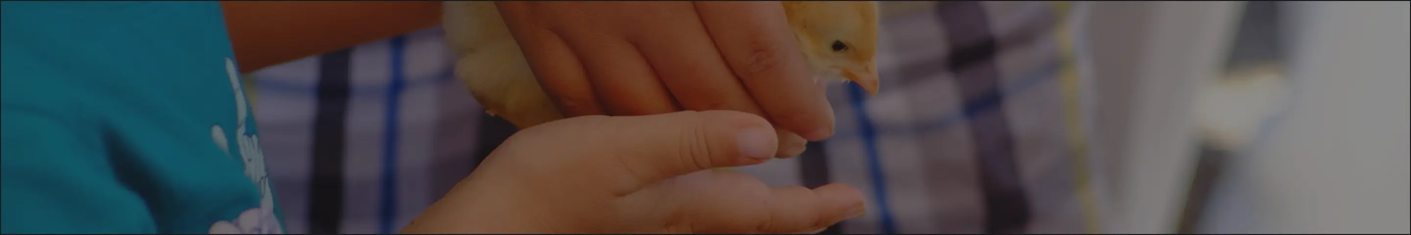 واحد خودمراقبتی